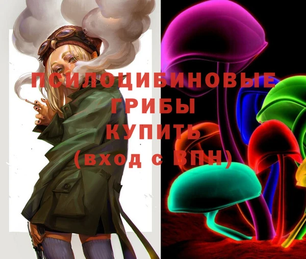 ПСИЛОЦИБИНОВЫЕ ГРИБЫ Медногорск