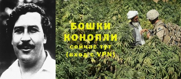 ПСИЛОЦИБИНОВЫЕ ГРИБЫ Медногорск