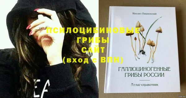ПСИЛОЦИБИНОВЫЕ ГРИБЫ Медногорск