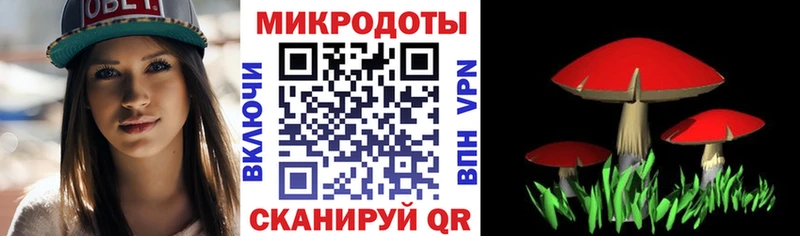 Купить где  Анжеро-Судженск  Псилоцибиновые грибы ЛСД 